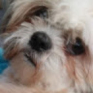 Meet your Posher, Lexi